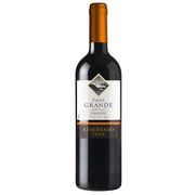 BEB.VH.PASO-GRANDE-750ML-CARMENERE-PRIV.RESERVE---2100290