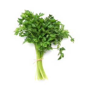 COENTRO-IRINEU-UN.---1179110 COENTRO-IRINEU-UN.---1179110