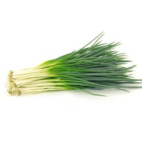 CEBOLINHA-HIDROPONICA-LABELA---2517590 CEBOLINHA-HIDROPONICA-LABELA---2517590