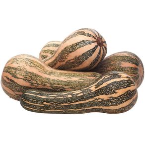 ABOBORA-PAULISTA-KG---633178 ABOBORA-PAULISTA-KG---633178