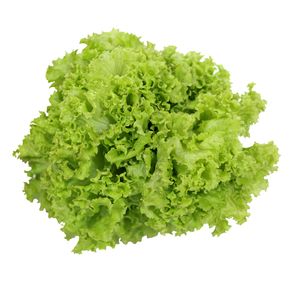 Alface-Irineu Alface-Irineu