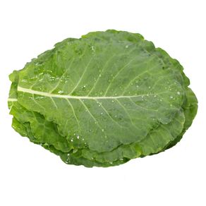 Couve-Folha-Irineu Couve-Folha-Irineu