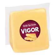 queijo_gouda_vigor_Fort