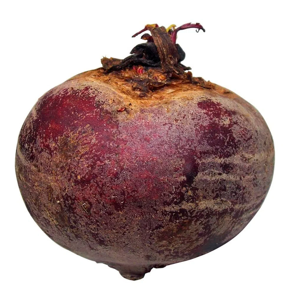 Beterraba