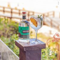 2670640_Kit_gin_doccas_750ml_taca_london_3