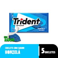 7895800304211-Chiclete_Trident_Hortel_Sem_A_car_8g__Embalagem_com_5_unid_-site_1000x1000--1-