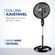2895870_7899882313888_VENTILADOR-MONDIAL-220V-3