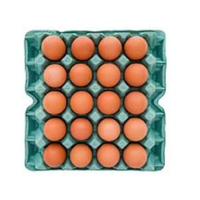 7898194601263 7898194601263