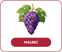 Malbec