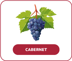Cabernet sauvignon