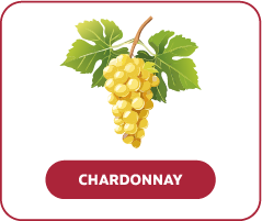 Chardonnay