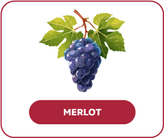 Merlot