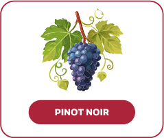 Pinot